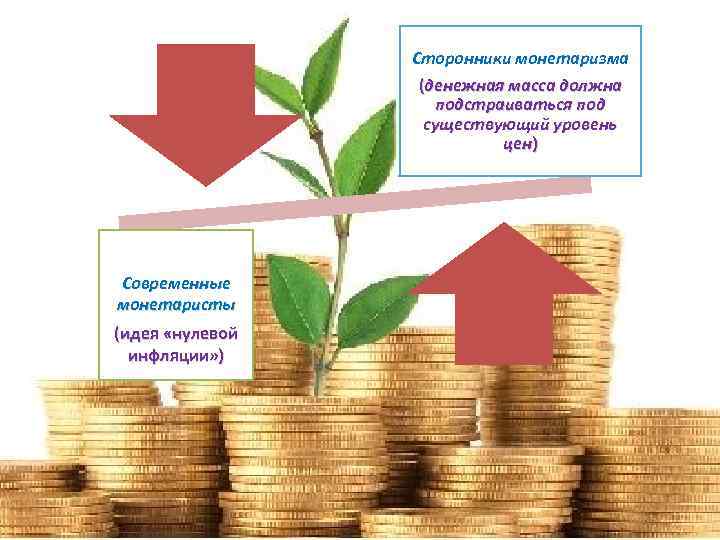 Монетаризм Рф Интернет Магазин