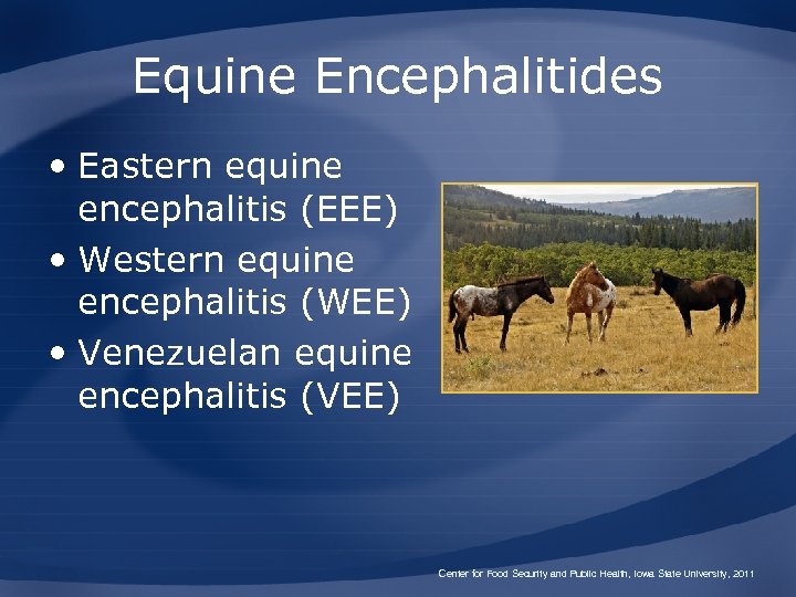 Equine Encephalitides Sleeping Sickness Eastern Equine Encephalitis EEE