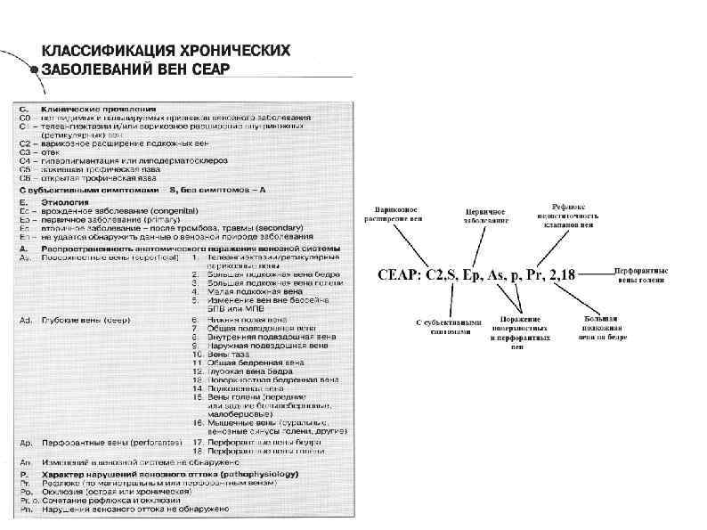 Варикоз Ceap