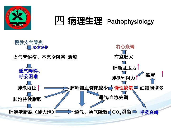 经常发作 右室肥大 支气管狭窄,不完全阻塞 活瓣 肺动脉压力 通气障碍