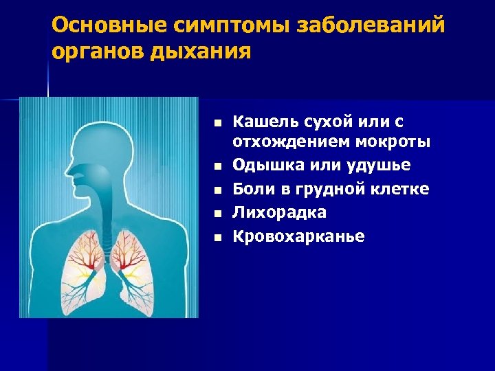 Диета Для Заболевания Дыхательной Системы
