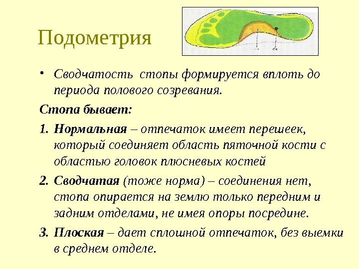 Подометрия • Сводчатость стопы формируется вплоть до периода полового созревания. Стопа бывает: 1. Нормальная