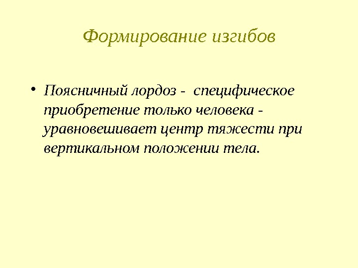 Формирование изгибов • Поясничный лордоз - специфическое приобретение только человека - уравновешивает центр тяжести