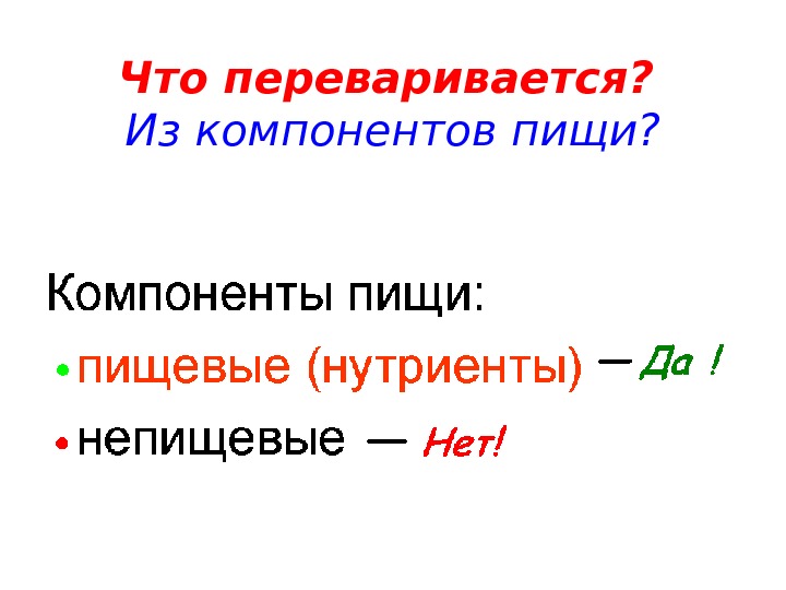 Что переваривается?  Из компонентов пищи? 