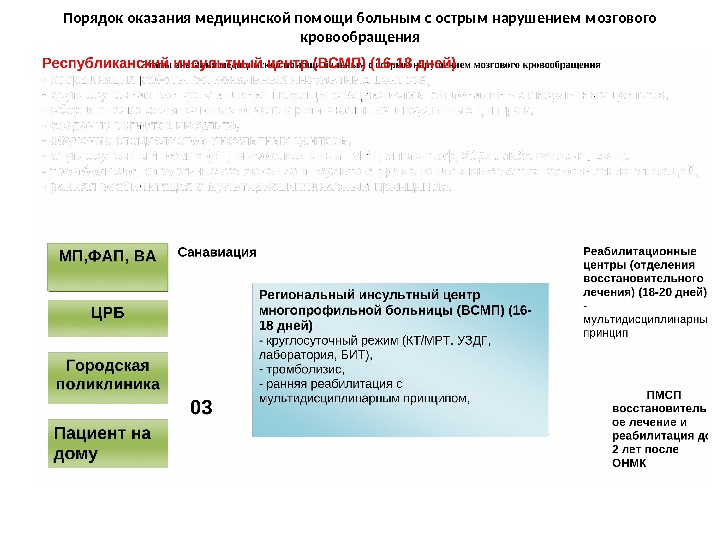 Порядок оказания медицинской помощи больным с острым нарушением мозгового кровообращения 