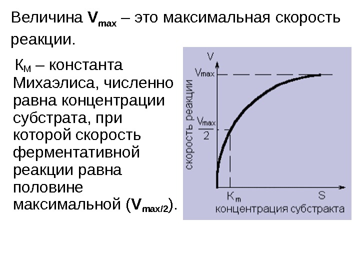  КМ – константа Михаэлиса, численно равна концентрации субстрата, при которой скорость ферментативной реакции