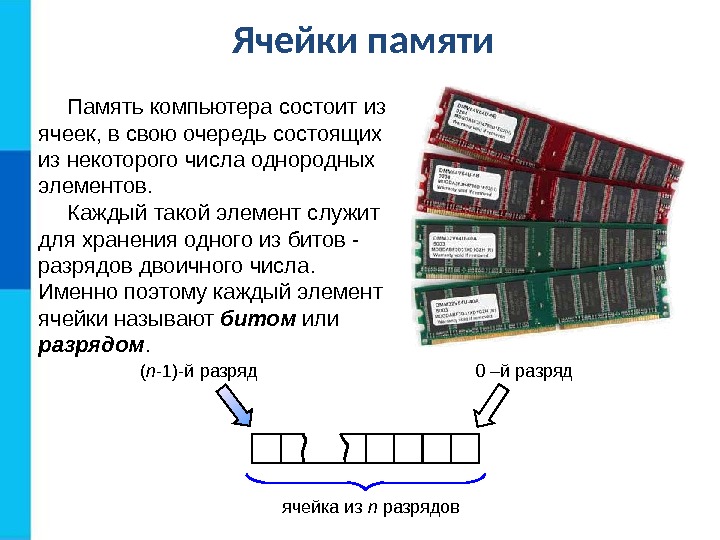 Ячейки памяти Память компьютера состоит из ячеек, в свою очередь состоящих из некоторого числа