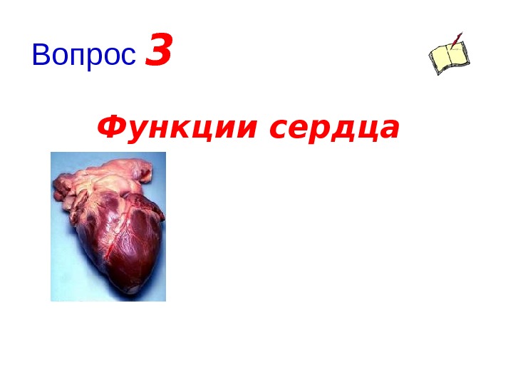 Вопрос  3 Функции сердца 