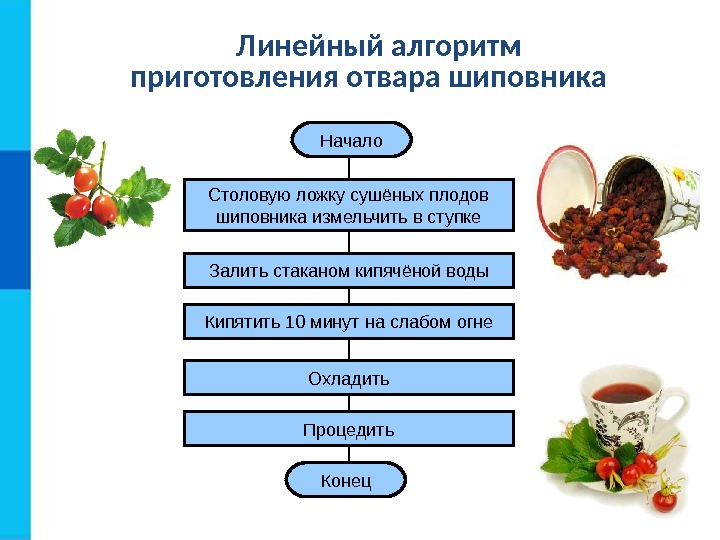 Начало Столовую ложку сушёных плодов шиповника измельчить в ступке Залить стаканом кипячёной воды Кипятить