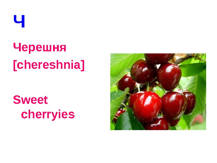   Ч Черешня [chereshnia] Sweet cherryies 