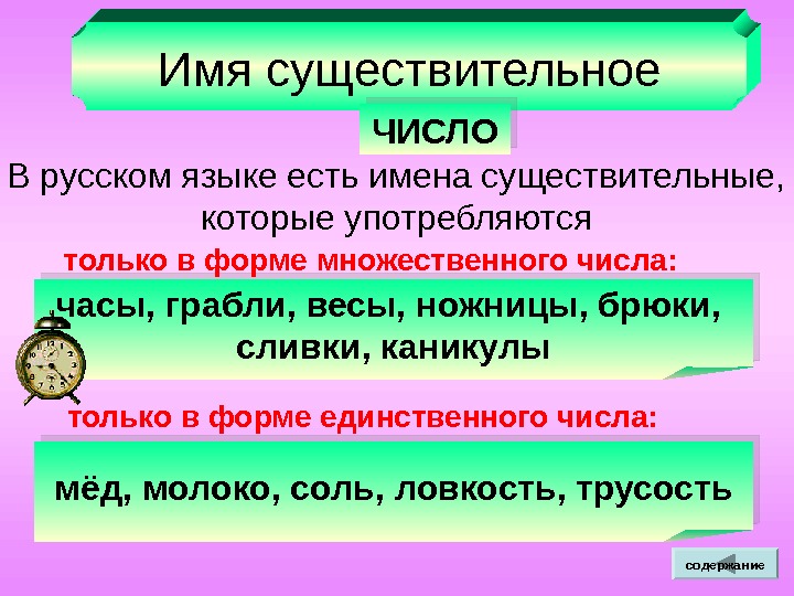 Имя существительное ЧИСЛО В русском языке есть имена существительные, которые употребляются часы, грабли, весы,