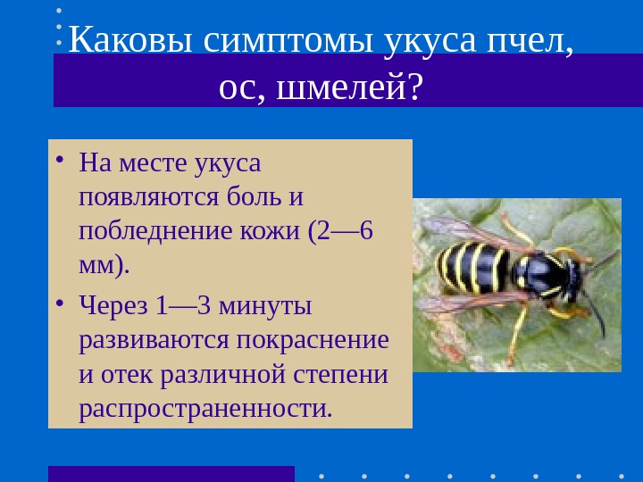 Каковы симптомы укуса пчел,  ос, шмелей?  • На месте укуса появляются боль