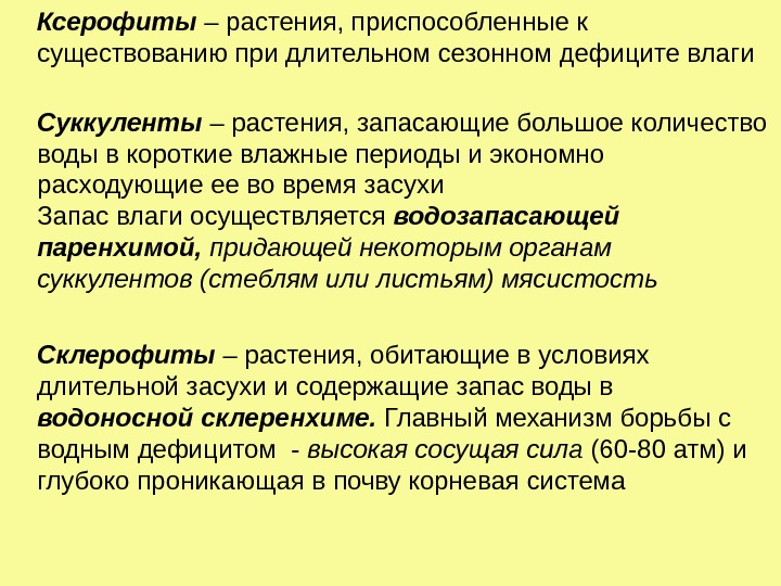  Ксерофиты – растения, приспособленные к существованию при длительном сезонном дефиците влаги Суккуленты 