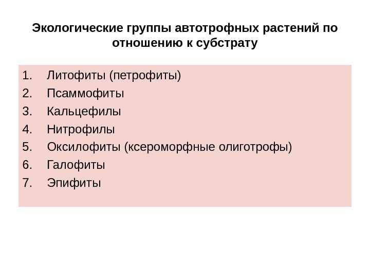 Экологические группы автотрофных растений по отношению к субстрату 1. Литофиты (петрофиты) 2. Псаммофиты 3.