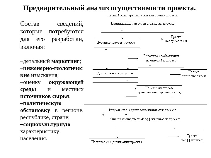 Предварительный анализ осуществимости проекта. Состав сведений,  которые потребуются для его разработки,  включая: