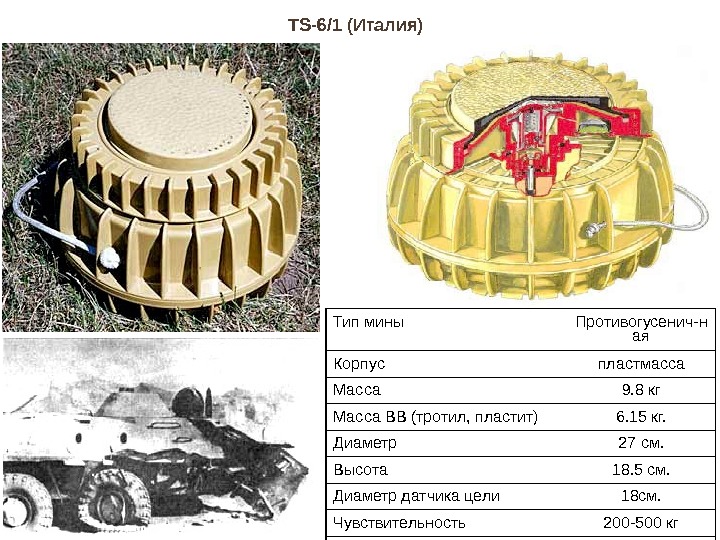 TS - 6/1 (Италия) Тип мины Противогусенич-н ая Корпус пластмасса Масса 9. 8 кг