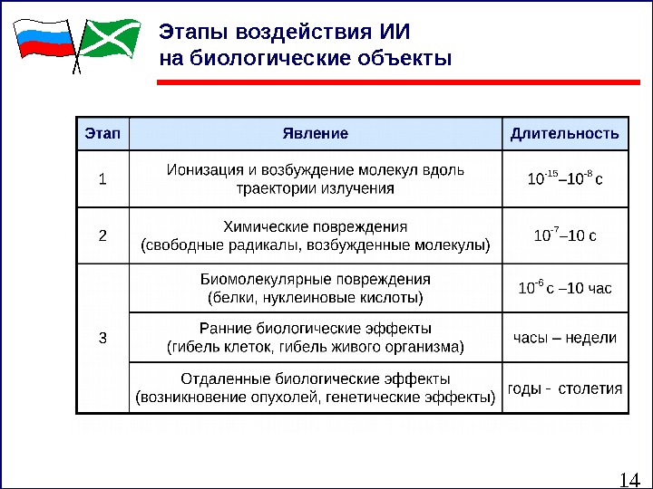 14 Этапы воздействия ИИ на биологические объекты 