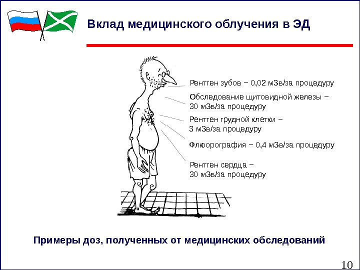 10 Вклад медицинского облучения в ЭД Рентген зубов − 0, 02 м. Зв/за процедуру