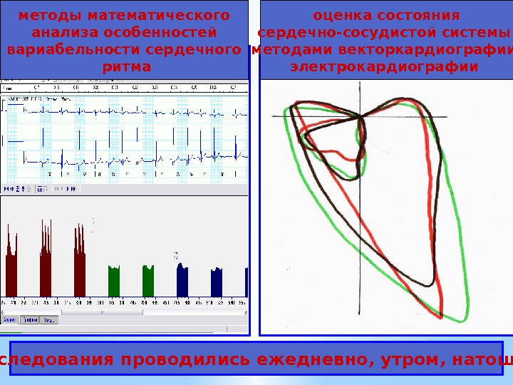 оценка состояния  сердечно-сосудистой системы  методами векторкардиографии, электрокардиографии Исследования проводились ежедневно, утром, натощак