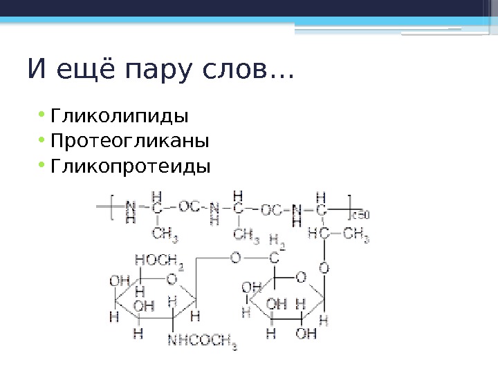 И ещё пару слов… • Гликолипиды • Протеогликаны • Гликопротеиды    