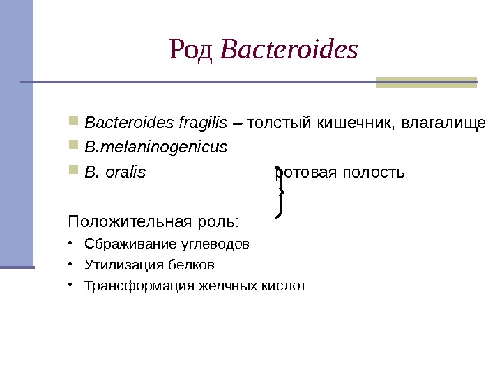 Род Bacteroides fragilis – толстый кишечник, влагалище B. melaninogenicus B. oralis   