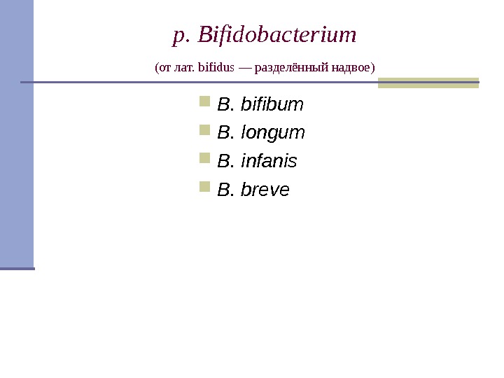 p. Bifidobacterium  (от лат. bifidus — разделённый надвое)  B. bifibum B. 