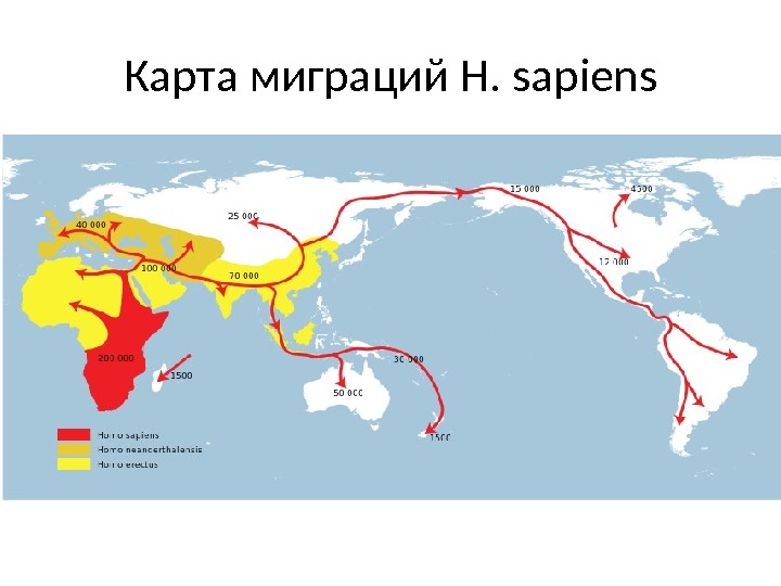 Карта миграций H. sapiens 