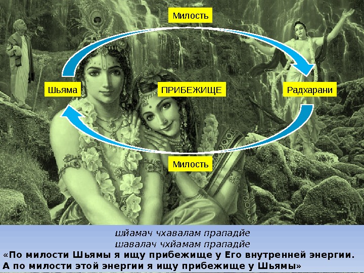 Милость Шьяма Радхарани Милость. ПРИБЕЖИЩЕ шйамач чхавалам прападйе шавалач чхйамам прападйе «По милости Шьямы