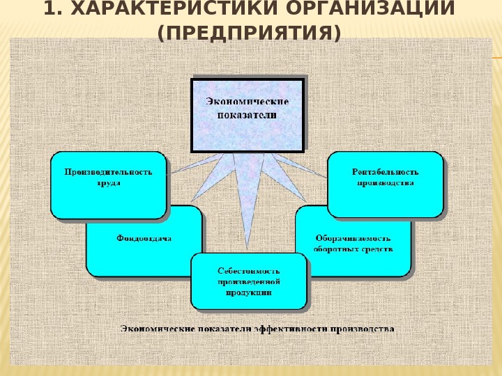 81. ХАРАКТЕРИСТИКИ ОРГАНИЗАЦИИ (ПРЕДПРИЯТИЯ) 