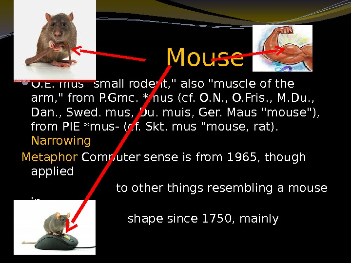     Mouse  O. E. mus small rodent,  also muscle