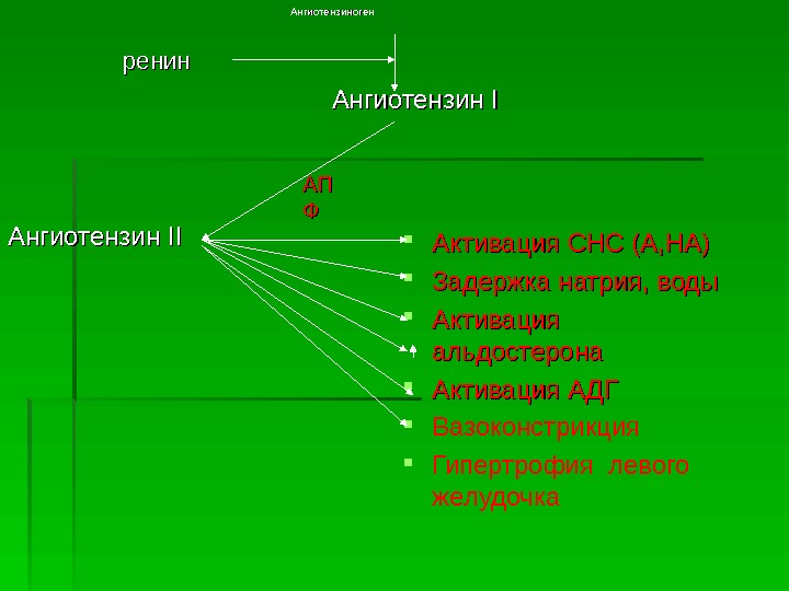   ренин   Ангиотензиноген     Ангиотензин II II Активация