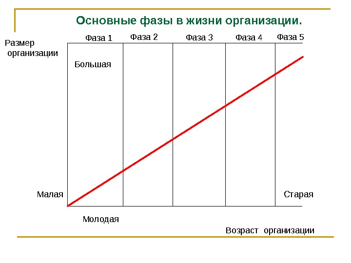   Размер  организации Основные фазы в жизни организации. Возраст организации. Фаза 1