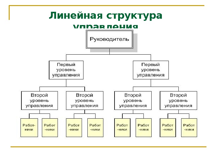   Линейная структура управления 