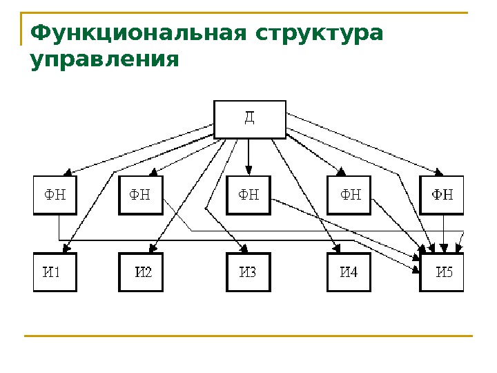   Функциональная структура управления 