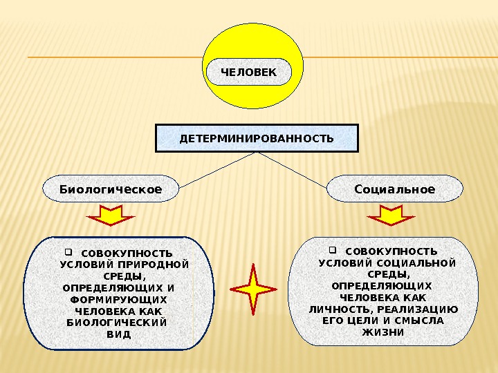 ЧЕЛОВЕК ДЕТЕРМИНИРОВАННОСТЬ СОВОКУПНОСТЬ УСЛОВИЙ ПРИРОДНОЙ СРЕДЫ, ОПРЕДЕЛЯЮЩИХ И ФОРМИРУЮЩИХ ЧЕЛОВЕКА КАК БИОЛОГИЧЕСКИЙ ВИД СОВОКУПНОСТЬ