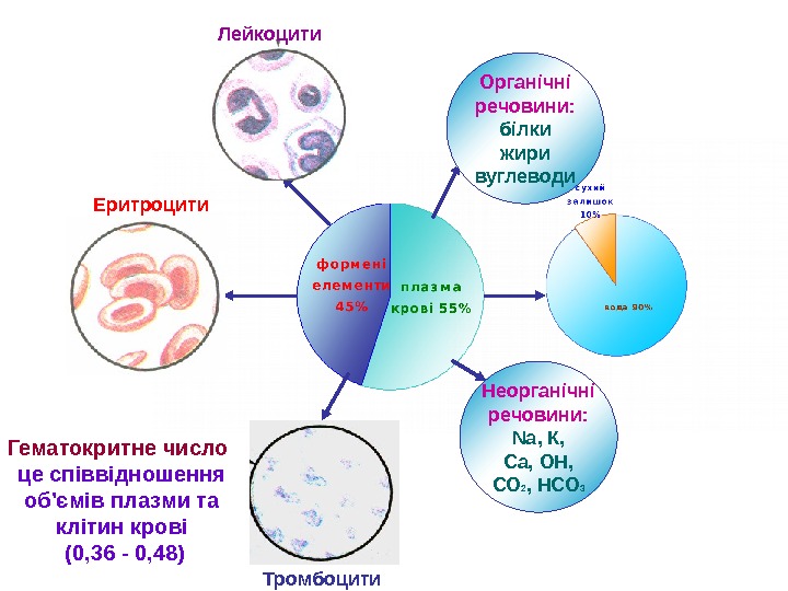 Органічні речовини: білки жири вуглеводи Неорганічні речовини: Na , К, Са, ОН, СО 2