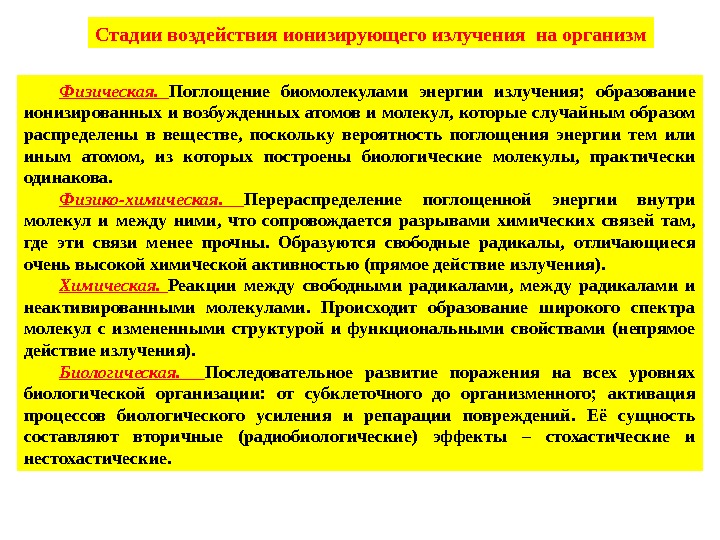 Стадии воздействия ионизирующего излучения на организм Физическая.  Поглощение биомолекулами энергии излучения;  образование