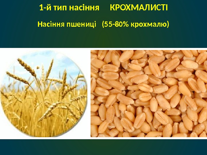 Насіння пшениці  (55 -80 крохмалю) 1 -й тип насіння КРОХМАЛИСТІ  