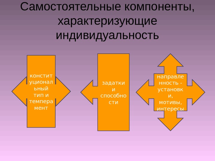 Самостоятельные компоненты,  характеризующие индивидуальность констит уционал ьный тип и темпера мент направле нность