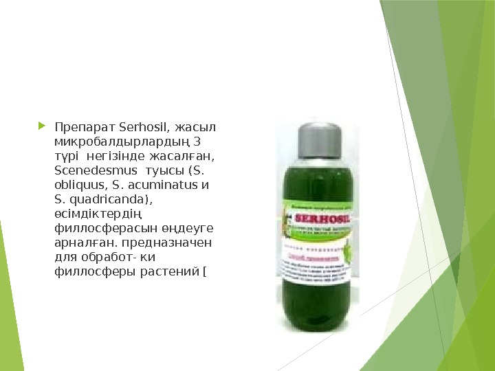  Препарат Serhosil, жасыл микробалдырлардың 3 түрі негізінде жасалған,  Scenedesmus туысы (S. 