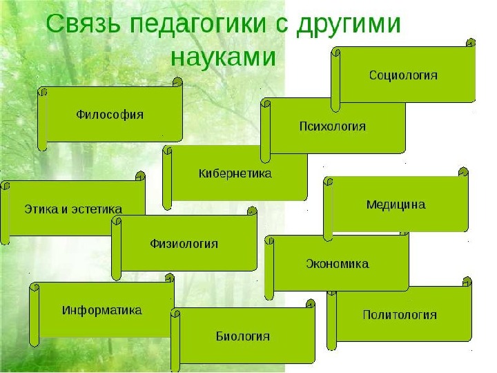 1. 2. Структура педагогики. Связь педагогики с другими науками  