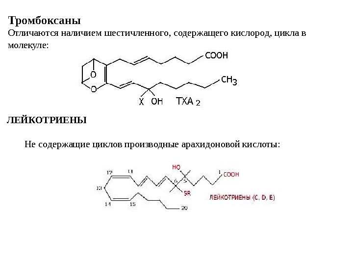 Тромбоксаны Отличаются наличием шестичленного, содержащего кислород, цикла в молекуле: ЛЕЙКОТРИЕНЫ  Не содержащие