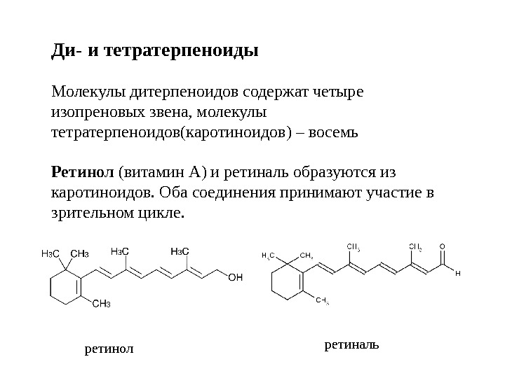 Ди- и тетратерпеноиды Молекулы дитерпеноидов содержат четыре изопреновых звена, молекулы тетратерпеноидов(каротиноидов) – восемь Ретинол