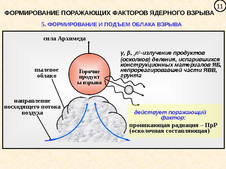   11 ФОРМИРОВАНИЕ ПОРАЖАЮЩИХ ФАКТОРОВ ЯДЕРНОГО ВЗРЫВА 5.  ФОРМИРОВАНИЕ И ПОДЪЕМ ОБЛАКА