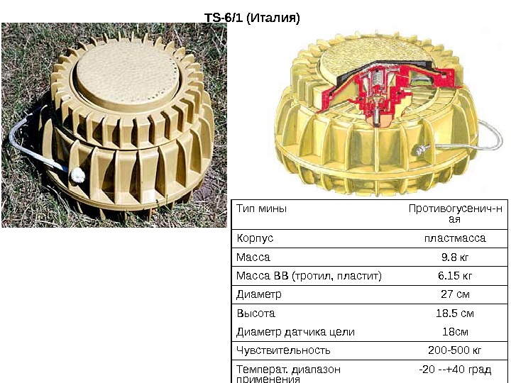 TS - 6/1 (Италия) Тип мины Противогусенич-н ая Корпус пластмасса Масса 9. 8 кг