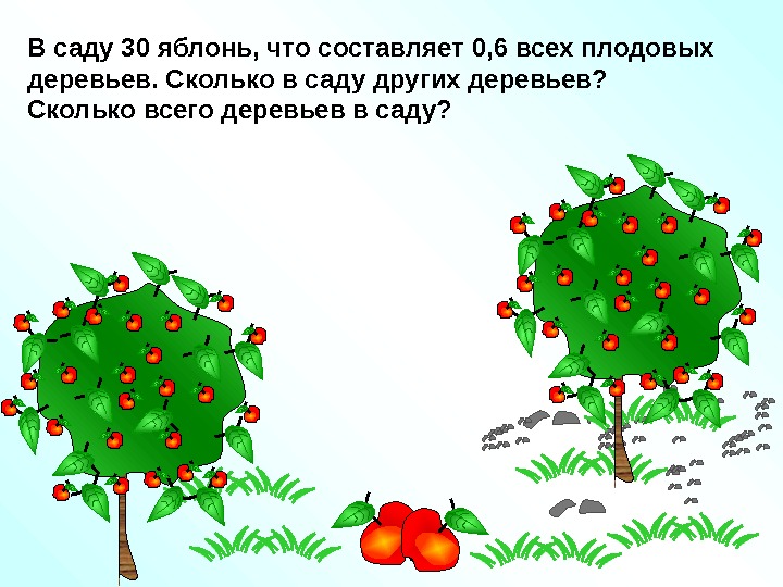 В саду 30 яблонь, что составляет 0, 6 всех плодовых деревьев. Сколько в саду