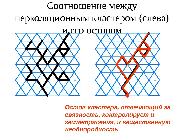 Соотношение между перколяционным кластером (слева) и его остовом Остов кластера, отвечающий за связность, контролирует
