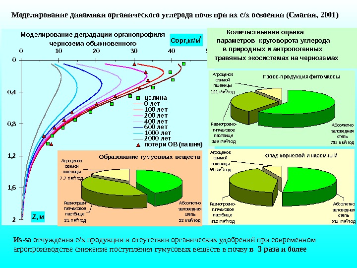   Моде лирование динамики органического углерода почв при их с // х освоении