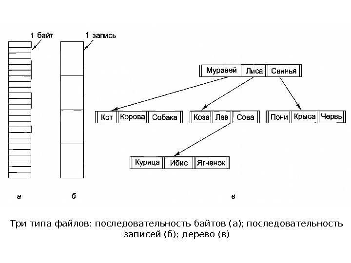 Три типа файлов: последовательность байтов (а); последовательность записей (б); дерево (в) 