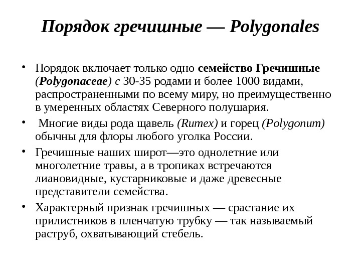 Порядок гречишные — Polygonales • Порядок включает только одно семейство Гречишные  ( Polygo